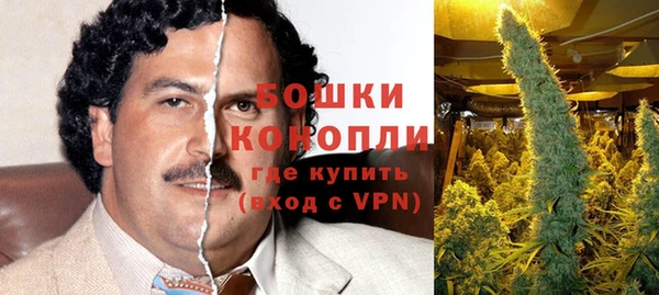 дурь Ладушкин